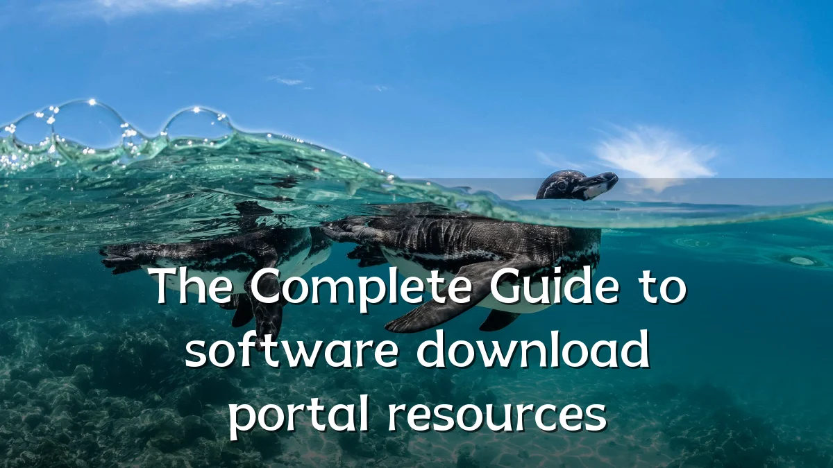 The Complete Guide to software download portal resources
