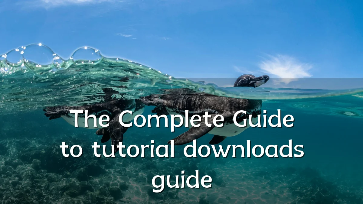 The Complete Guide to tutorial downloads guide