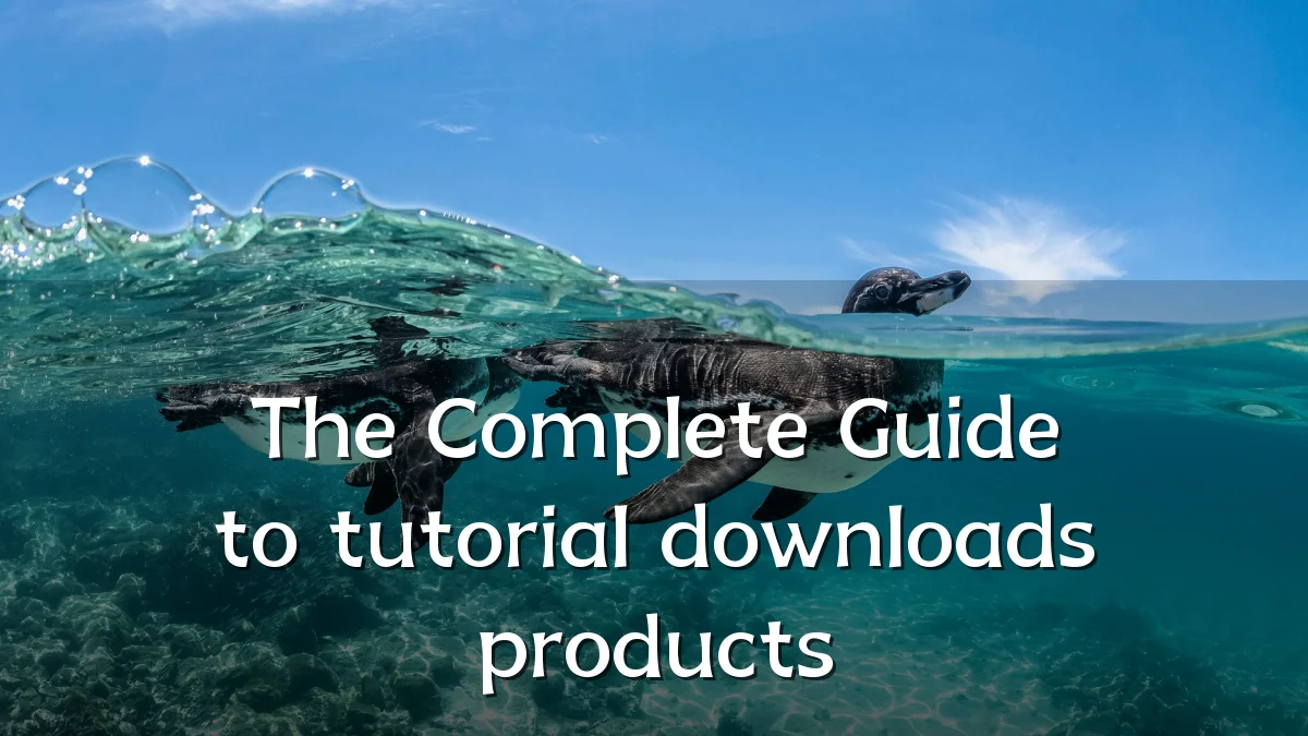 The Complete Guide to tutorial downloads products