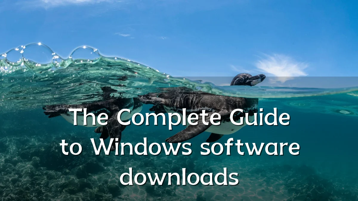 The Complete Guide to Windows software downloads
