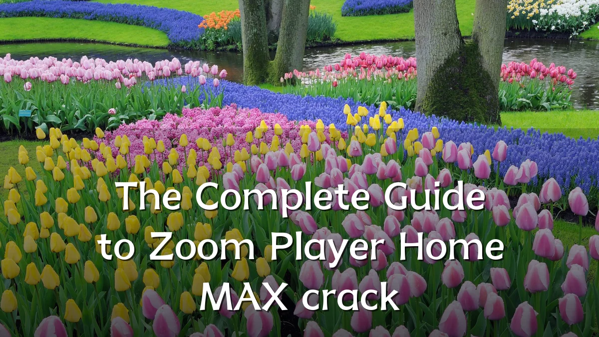 The Complete Guide to Zoom Player Home MAX crack