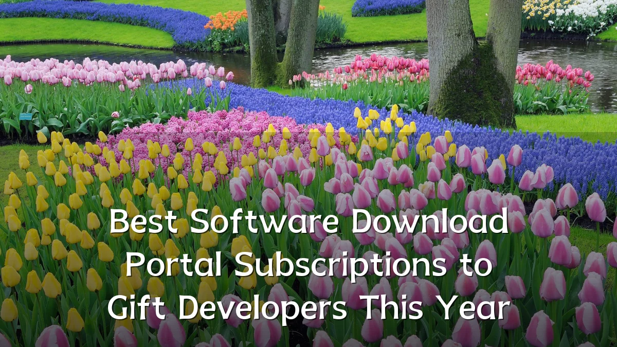 Best Software Download Portal Subscriptions to Gift Developers This Year