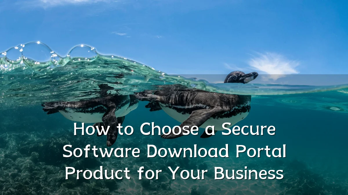 How to Choose a Secure Software Download Portal Product for Your Business
