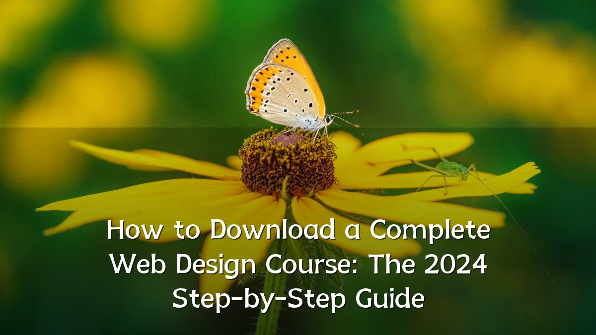 How to Download a Complete Web Design Course: The 2024 Step-by-Step Guide