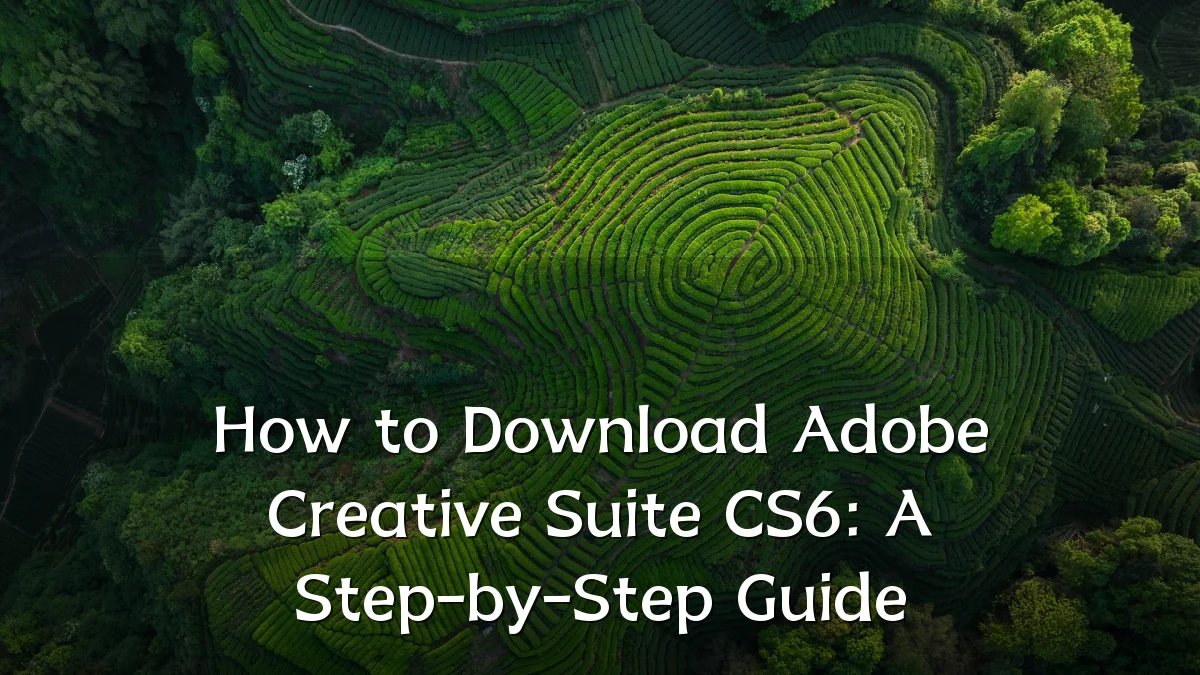 How to Download Adobe Creative Suite CS6: A Step-by-Step Guide