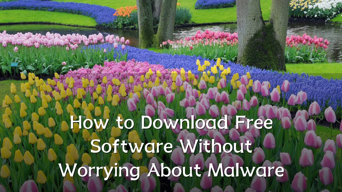 How to Download Free Software Without Worrying About Malware