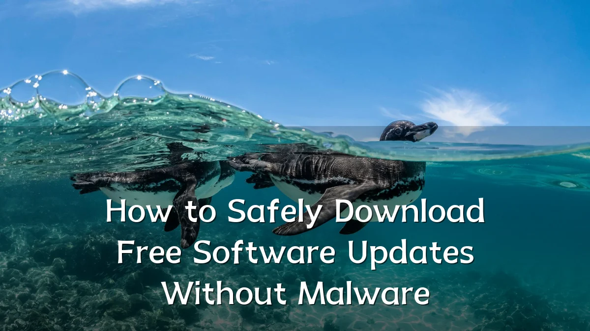How to Safely Download Free Software Updates Without Malware