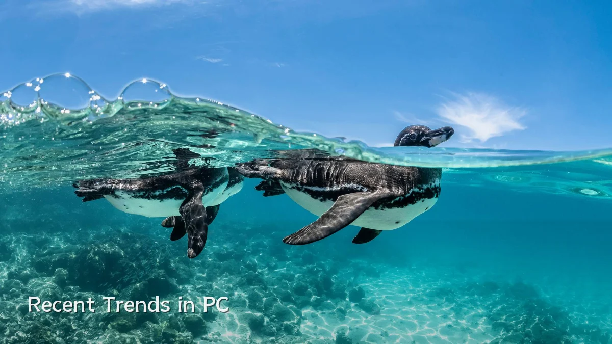 Recent Trends in PC