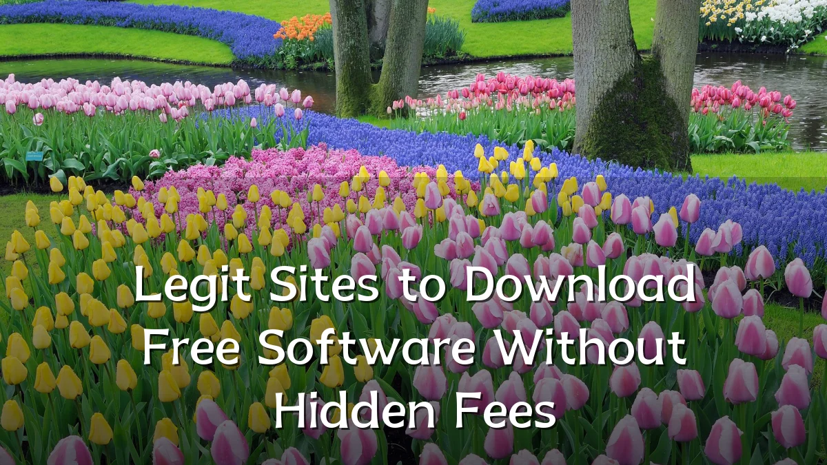 Legit Sites to Download Free Software Without Hidden Fees