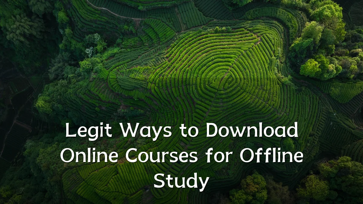 Legit Ways to Download Online Courses for Offline Study