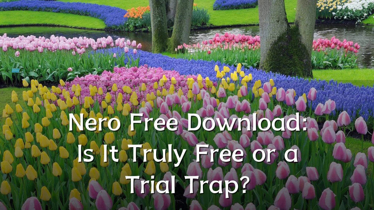Nero Free Download: Is It Truly Free or a Trial Trap?