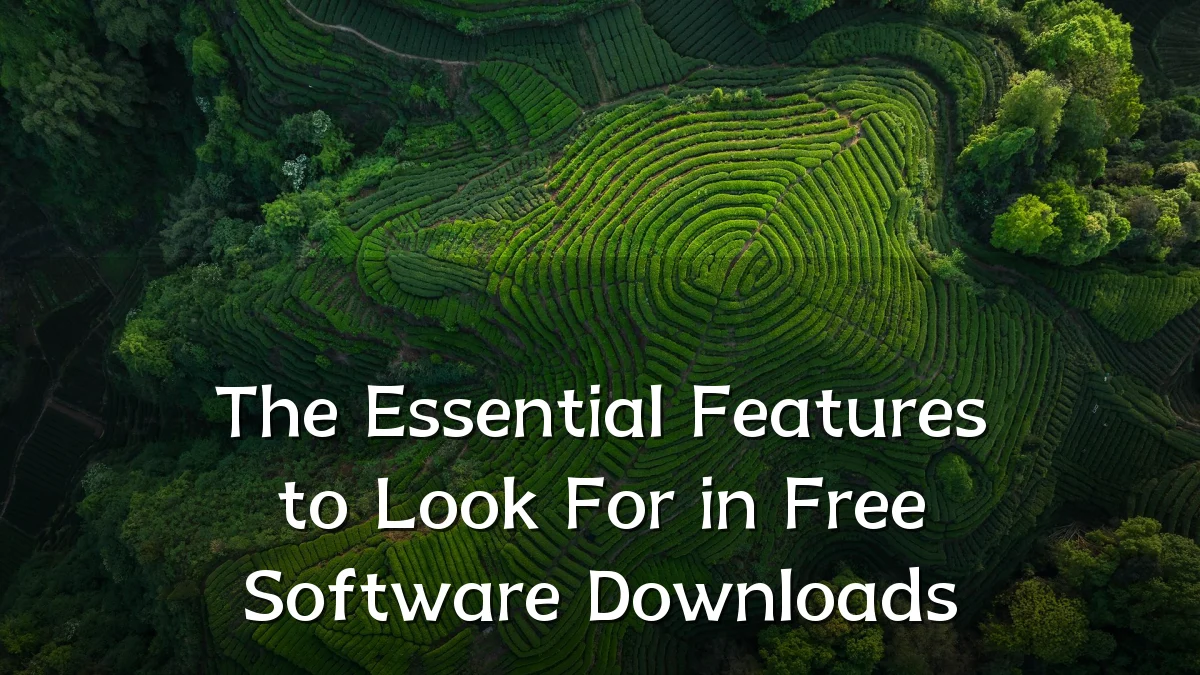 The Essential Features to Look For in Free Software Downloads