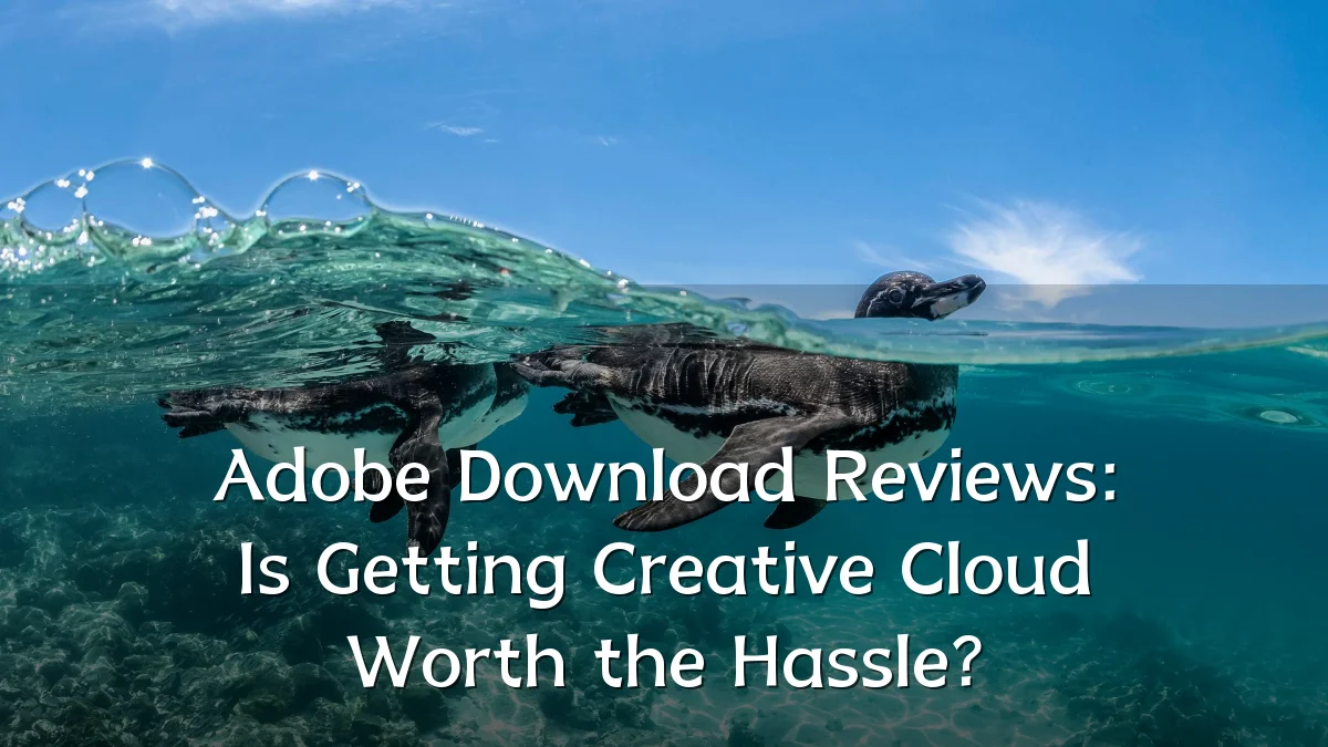 Adobe Download Reviews: Is Getting Creative Cloud Worth the Hassle?