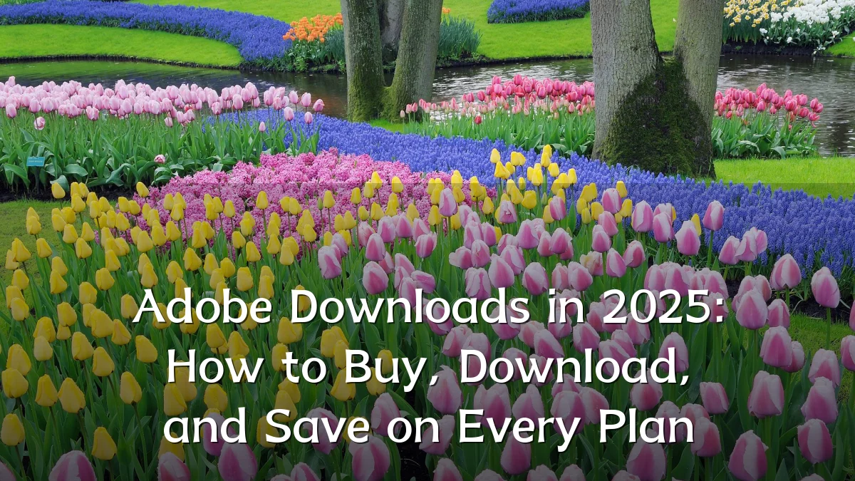 Adobe Downloads in 2025: How to Buy, Download, and Save on Every Plan