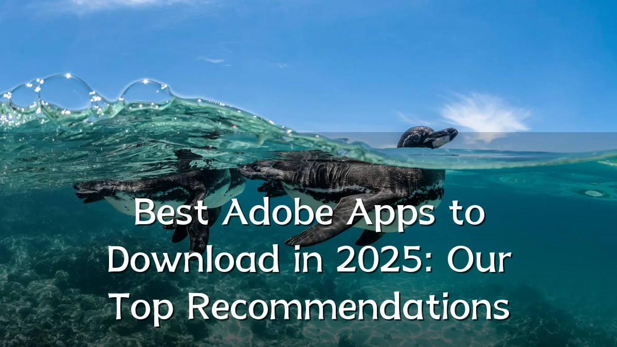 Best Adobe Apps to Download in 2025: Our Top Recommendations