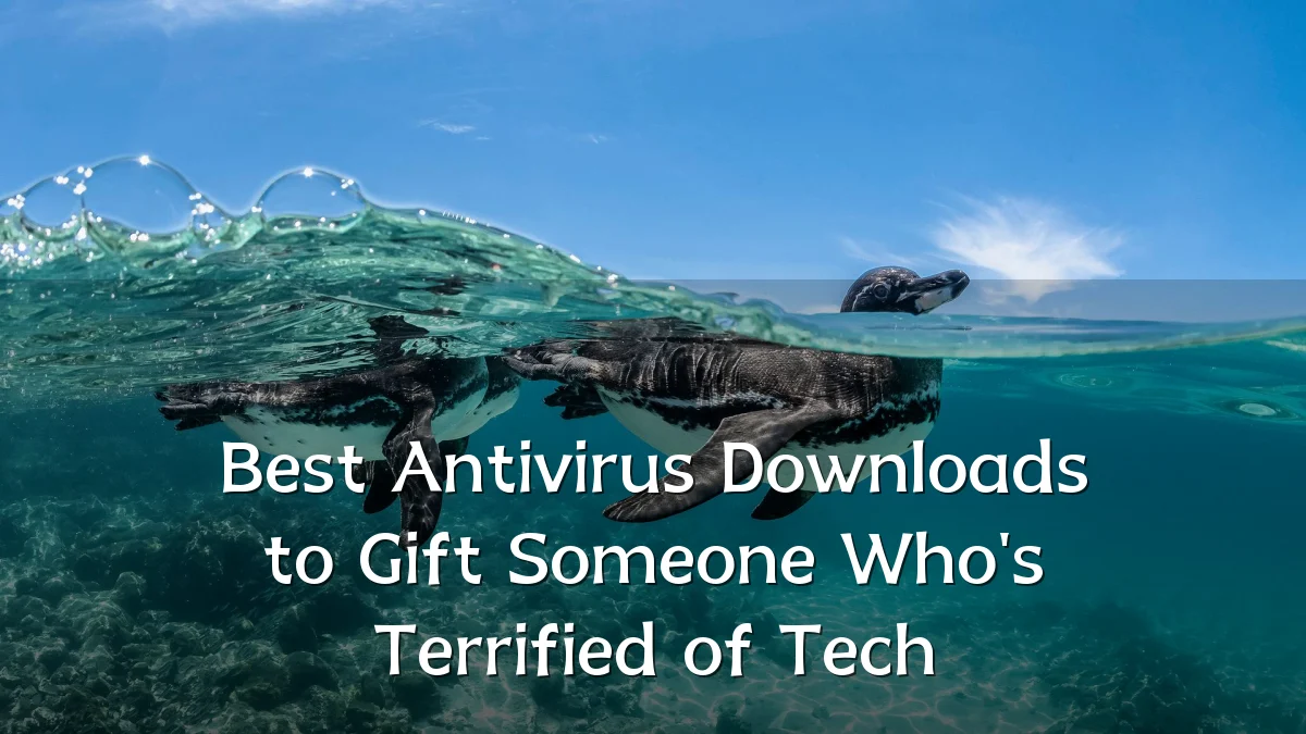 Best Antivirus Downloads to Gift Someone Who's Terrified of Tech