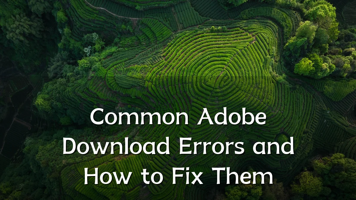 Common Adobe Download Errors and How to Fix Them