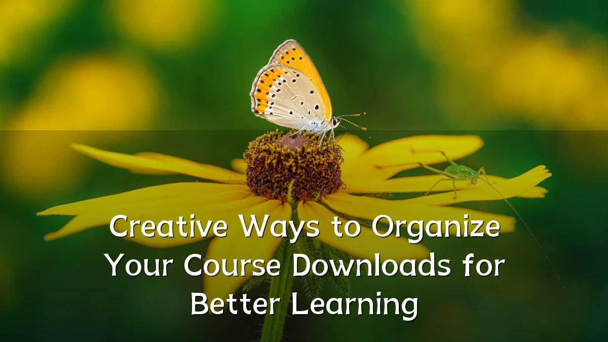 Creative Ways to Organize Your Course Downloads for Better Learning