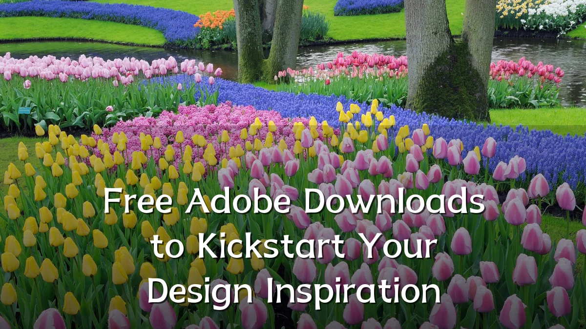 Free Adobe Downloads to Kickstart Your Design Inspiration