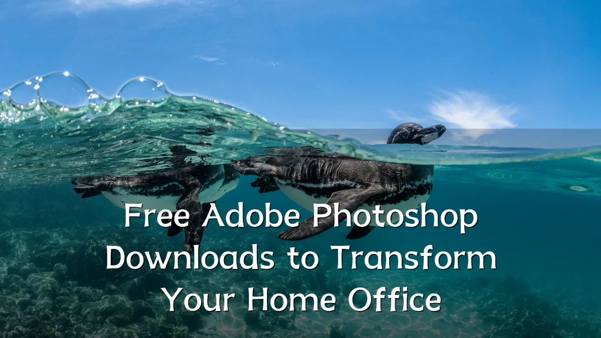 Free Adobe Photoshop Downloads to Transform Your Home Office
