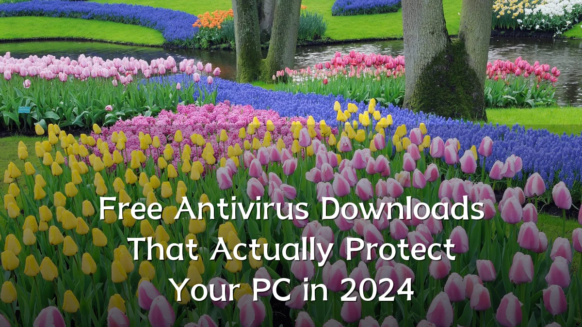 Free Antivirus Downloads That Actually Protect Your PC in 2024