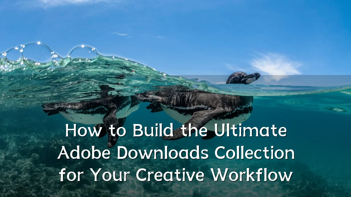 How to Build the Ultimate Adobe Downloads Collection for Your Creative Workflow
