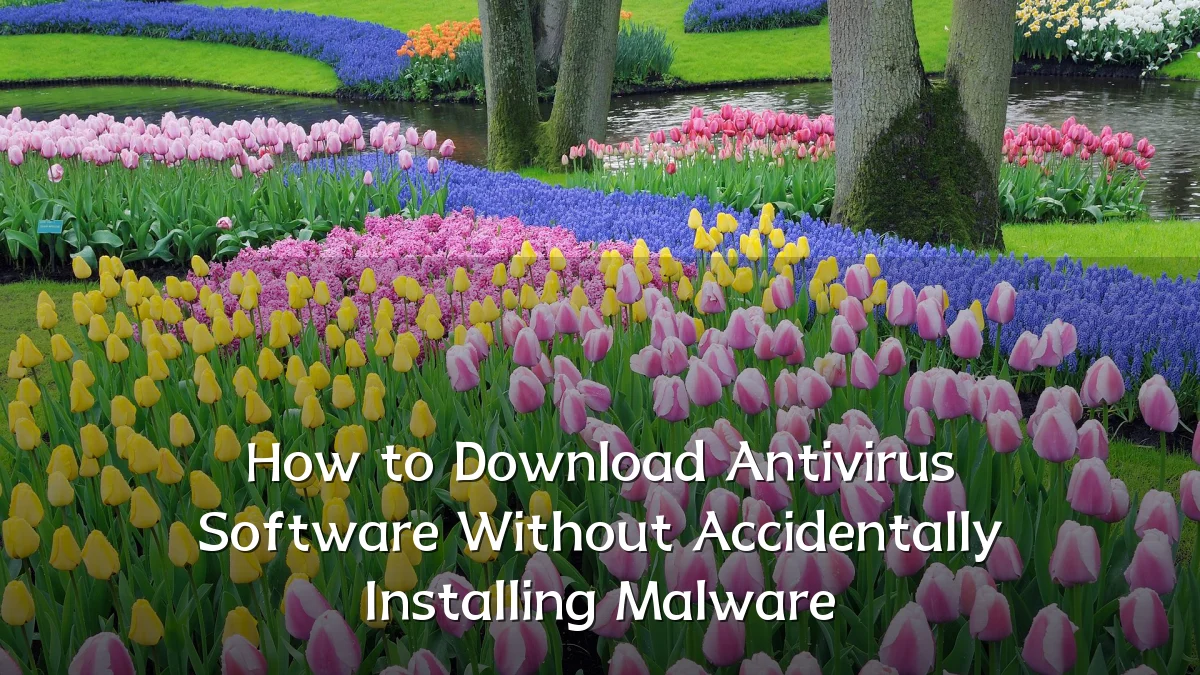 How to Download Antivirus Software Without Accidentally Installing Malware