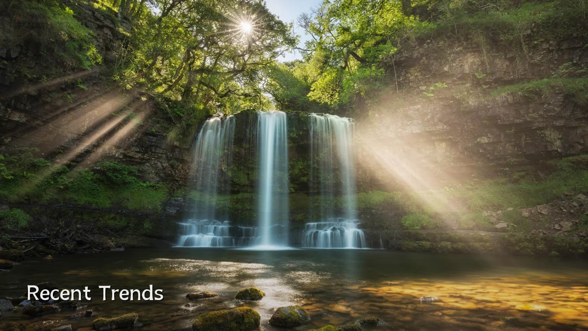 Recent Trends