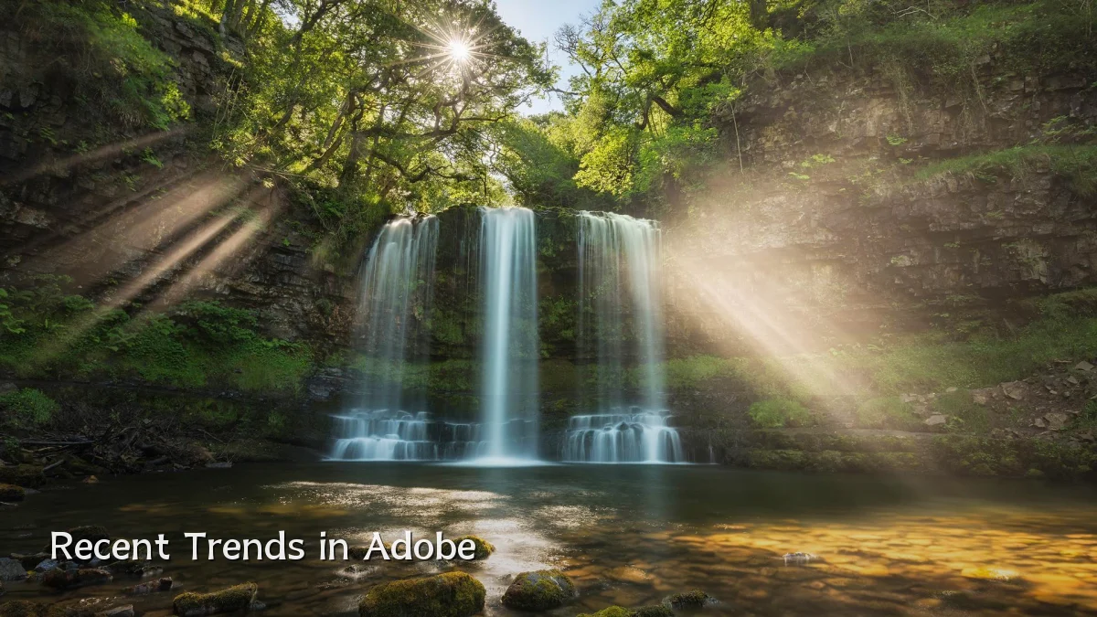 Recent Trends in Adobe