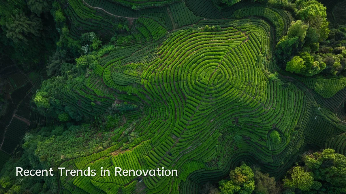 Recent Trends in Renovation
