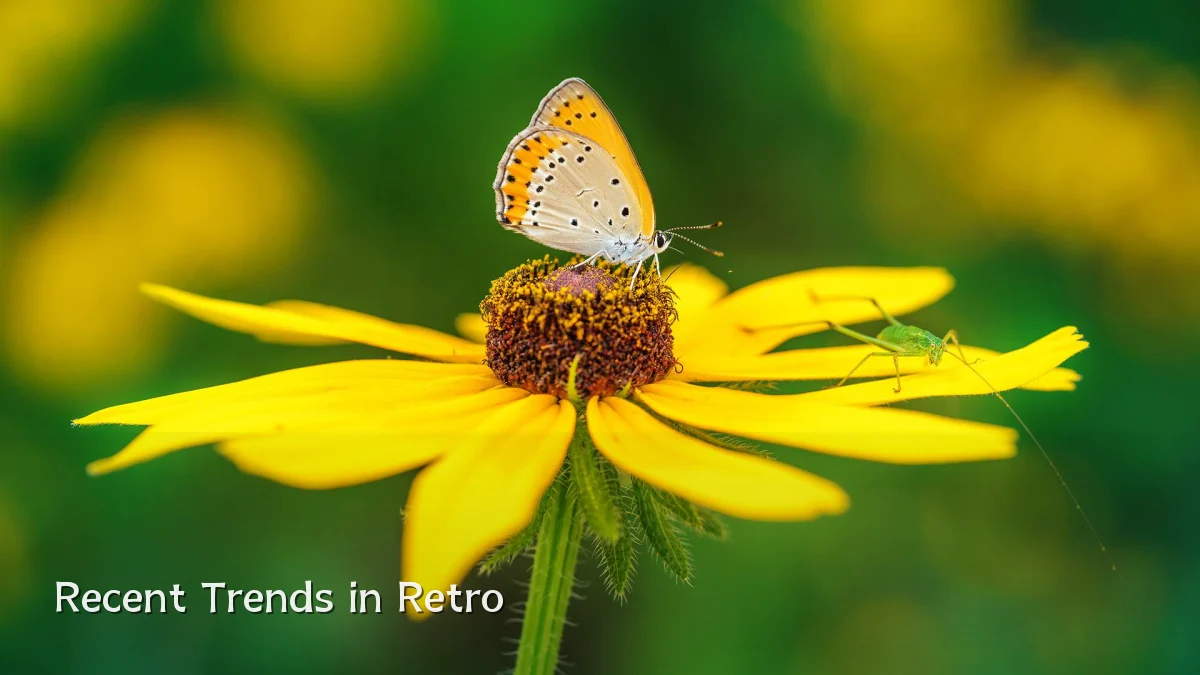 Recent Trends in Retro