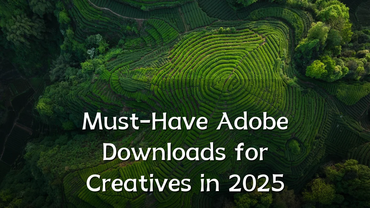 Must-Have Adobe Downloads for Creatives in 2025