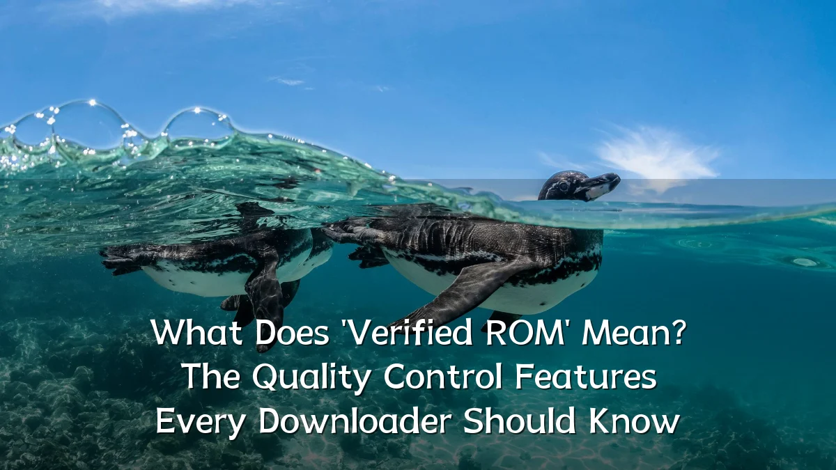 What Does 'Verified ROM' Mean? The Quality Control Features Every Downloader Should Know