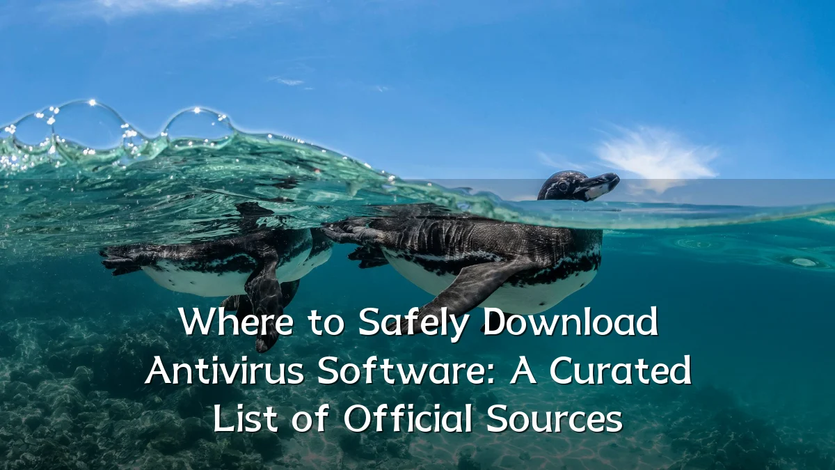 Where to Safely Download Antivirus Software: A Curated List of Official Sources