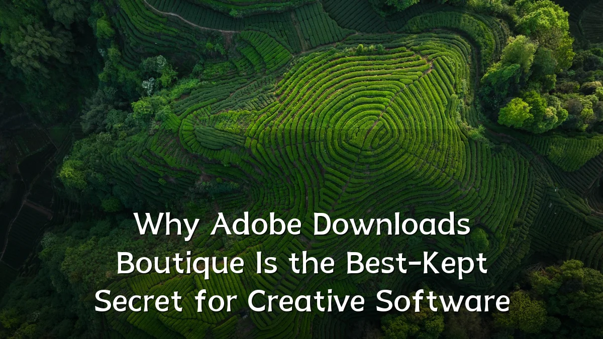 Why Adobe Downloads Boutique Is the Best-Kept Secret for Creative Software