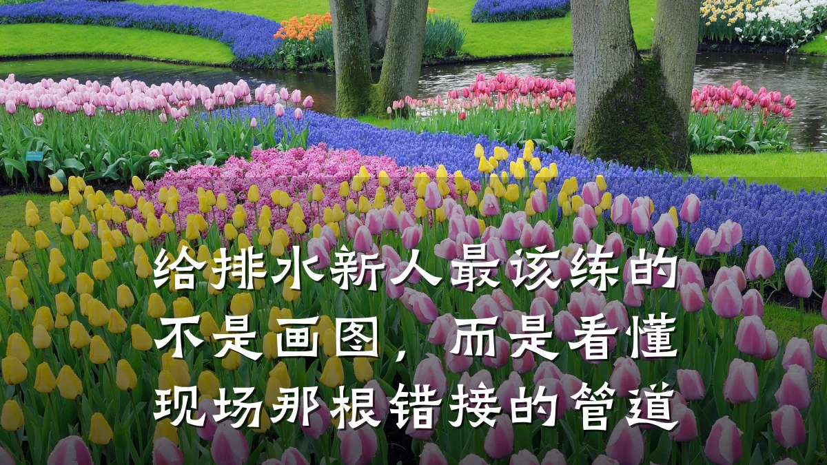 给排水新人最该练的不是画图,而是看懂现场那根错接的管道